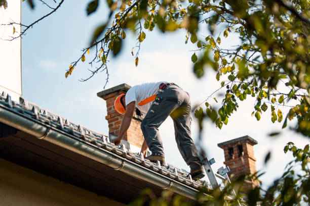 Best Roof Coating and Sealing  in Trenton, NJ