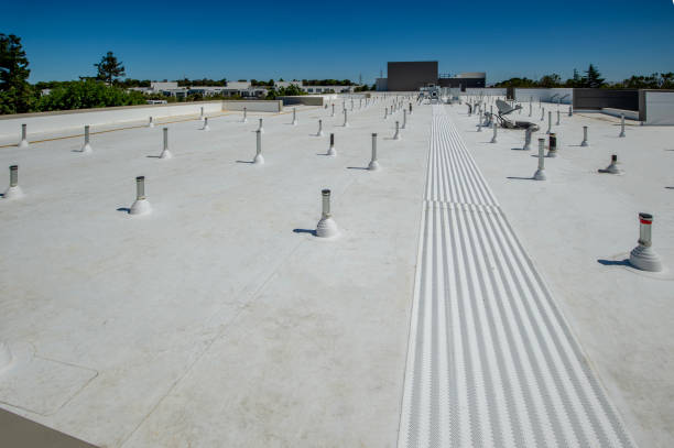 Best Roof Repair  in Trenton, NJ